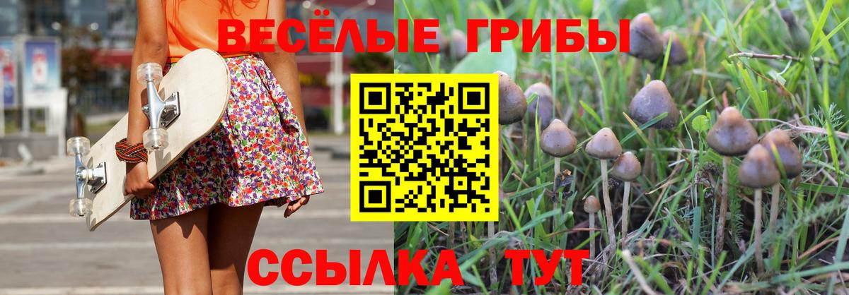 Псилоцибиновые грибы MAGIC MUSHROOMS  Псилоцибиновые грибы Psilocybe  Вход с VPN  Кемерово 